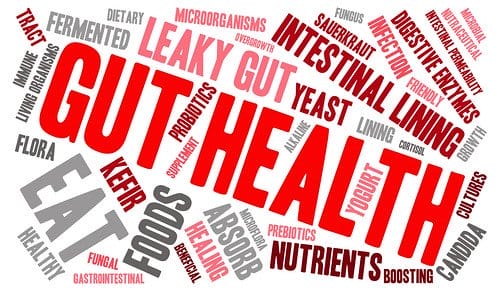 Leaky Gut