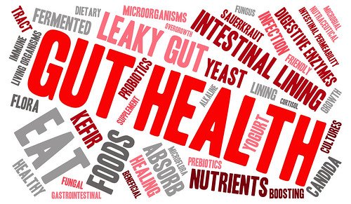 Leaky Gut