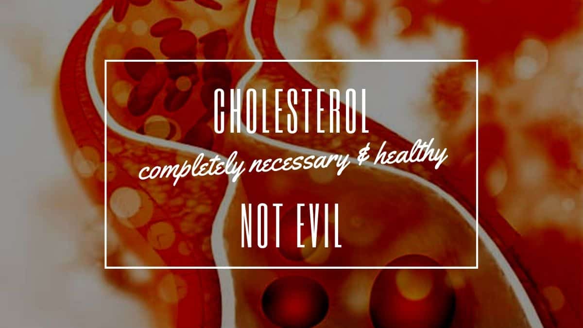 What Makes Cholesterol Good: Villain Turned Hero