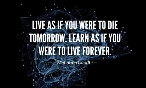 Cognition Supplements Quote