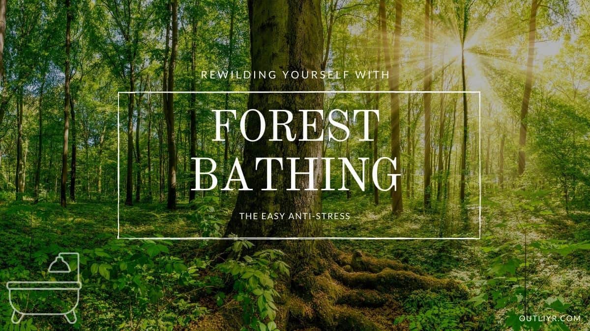 Forest Bathing