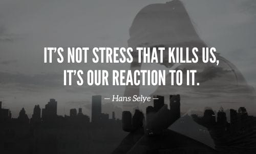 Stress Supplements Quote