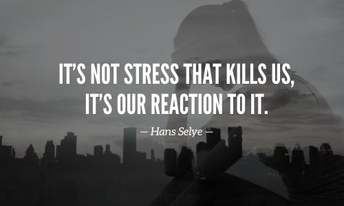 Stress Supplements Quote