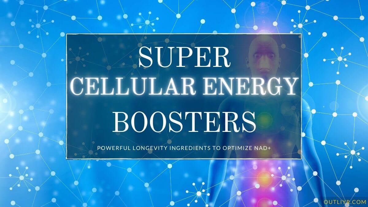 11 NMN & MIB-626 Alternatives to Massively Increase NAD+ Levels