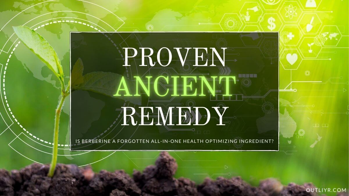 The ONLY 5 Top Berberine Supplements Review 2026: Nature's Ozempic or Better?