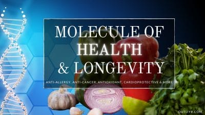 5 Best Quercetin Supplements Review 2026: Longevity, Inflammation, Allergies & More