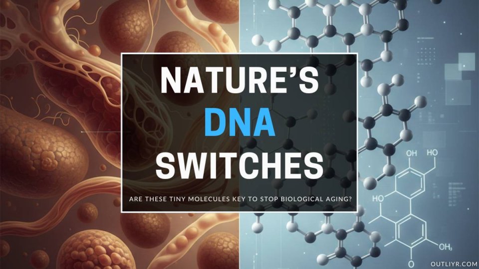 30+ Best Bioregulator Peptides: Nature's Powerful Epigenetic "Switches"