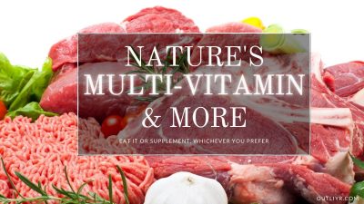 10 Best Grass-Fed Organ Meat Supplements Review 2026