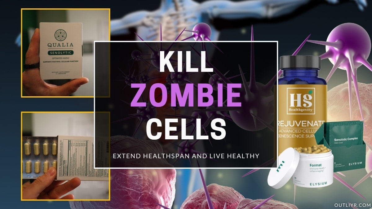 8 Best Senolytic Supplements to Rid Your "Zombie" Cells & Extend Healthspan