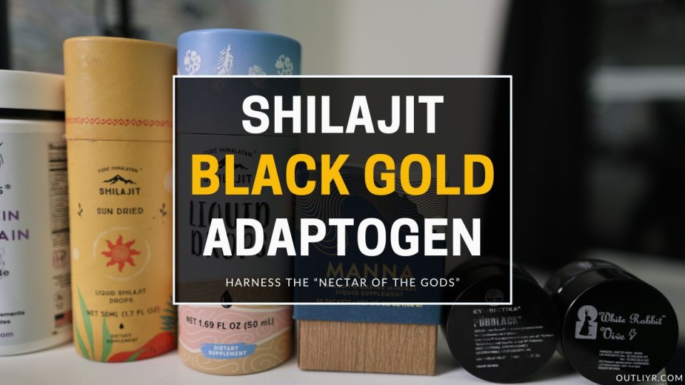11 Top Shilajit Supplements 2026: Brands Review & Comparison