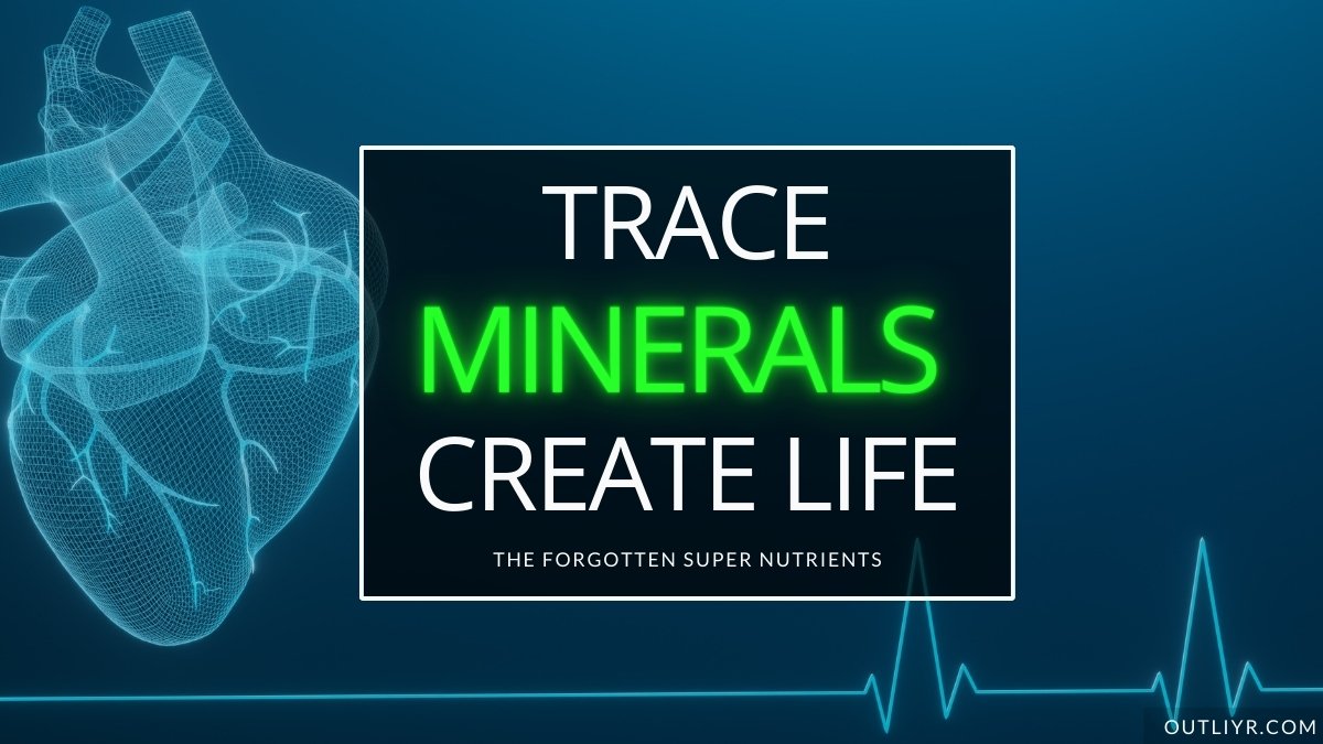13 Best Trace Minerals Supplements (& Avoid These 2)