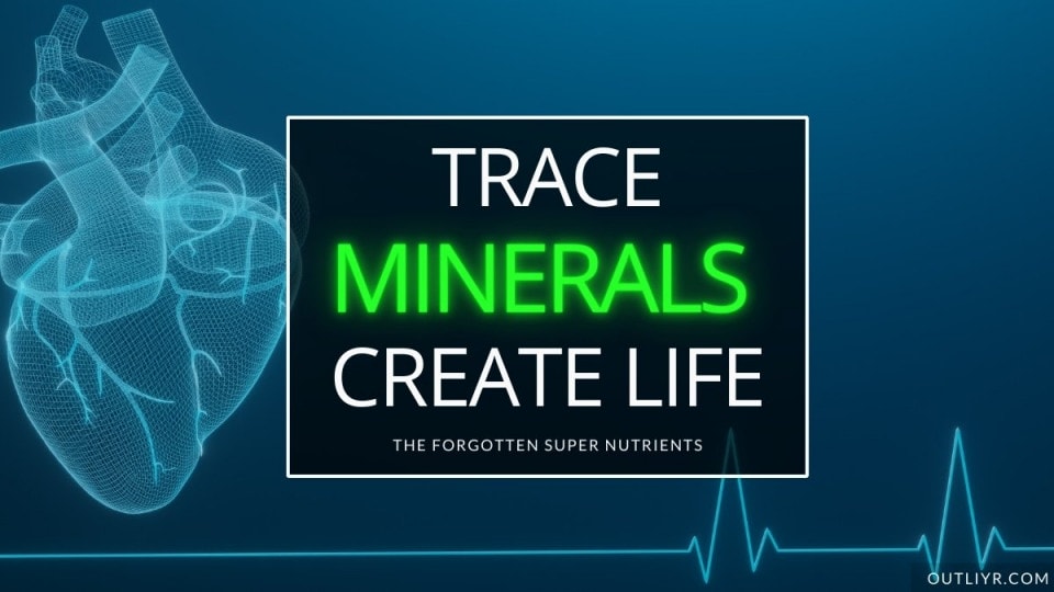 13 Best Trace Minerals Supplements (& Avoid These 2)