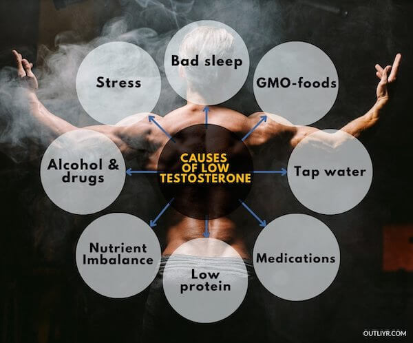 Causes-Low-Testosterone Causes-Low-Testosterone