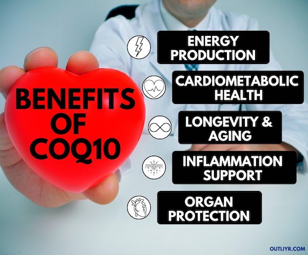 CoQ10-Benefits Benefits of Supplementing CoQ10