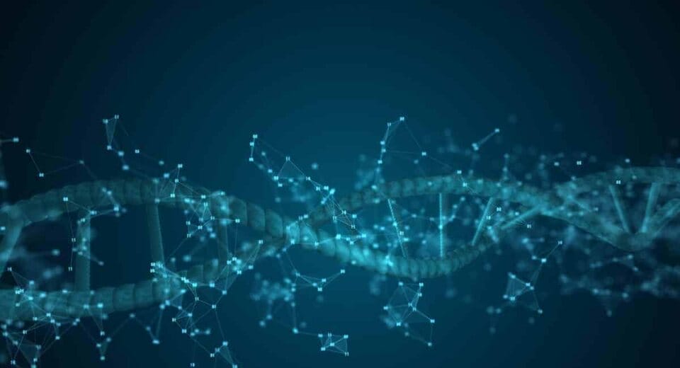 Your Custom Protocol To Reverse Your "BioAge" & Stay Young