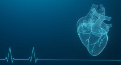 The New Science of Cardiovascular Health & Performance