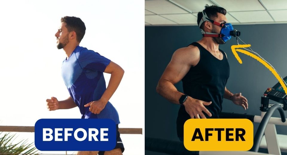 5 Longevity Drivers That Actually Increase Lifespan by 500%