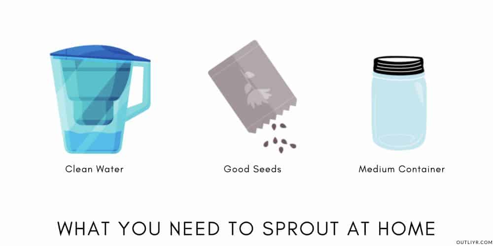 How Grow Sprouts At Home