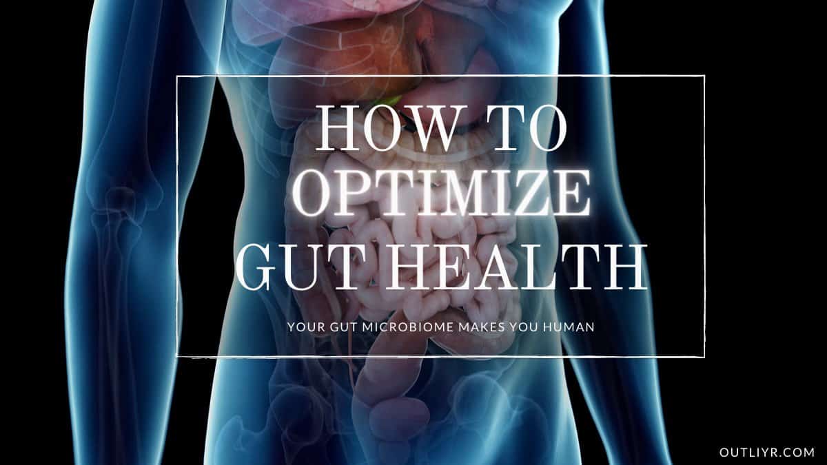 Biohacking Gut Health: The Scientific Optimization Guide