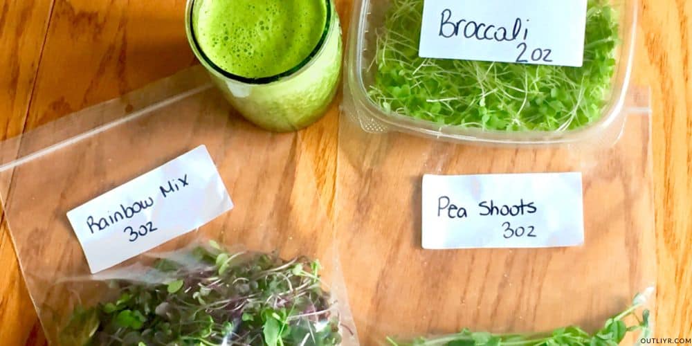 How To Eat Sprouts MicroGreens