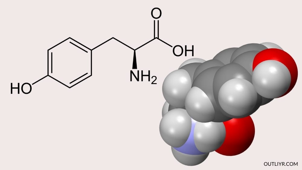 l-tyrosine molecular structure, this substance is great for regulating mood, motivation, focus, and stress response
