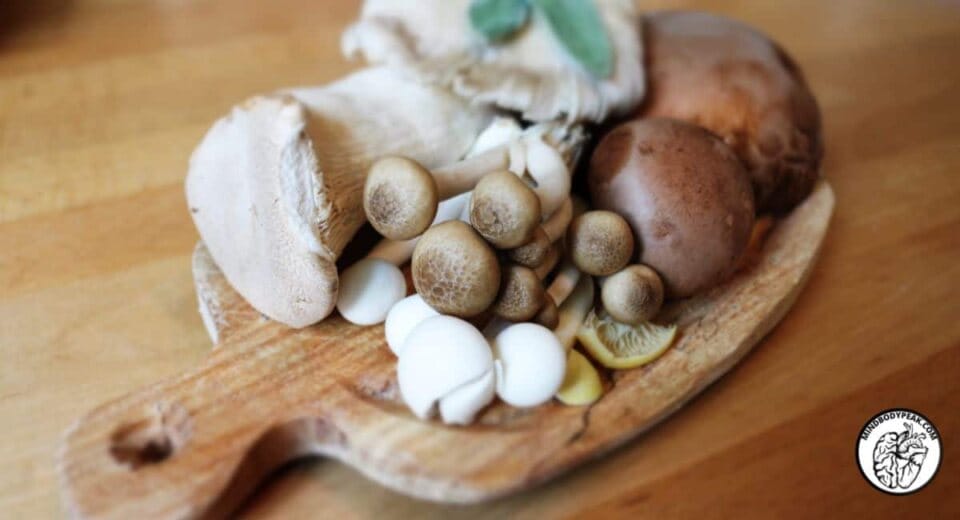 Mind Body Peak Performance: Mushroom Industry|