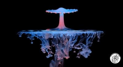 Mind Body Peak Performance Interview | Dr. Mason Bresett @ Real Mushrooms|