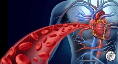 Mind Body Peak Performance Blood Glucose Monitoring | Molly Downey @ NutriSense|