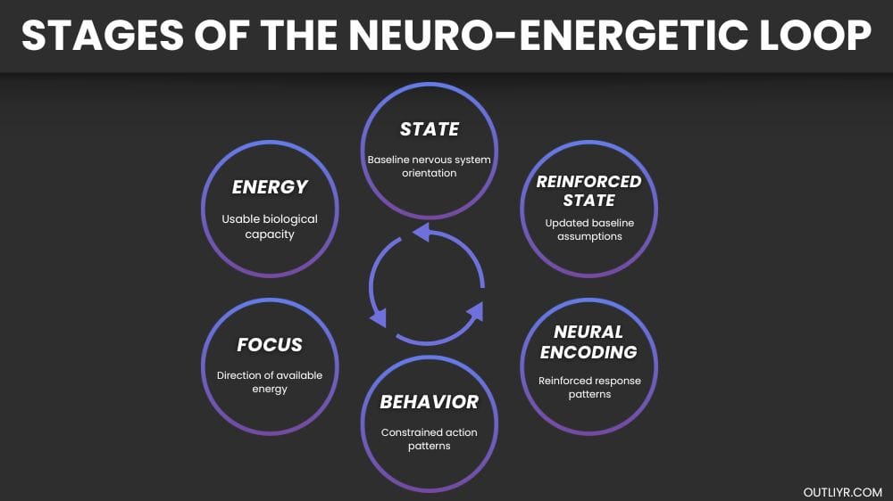 The six stages of the neuro-energetic loop
