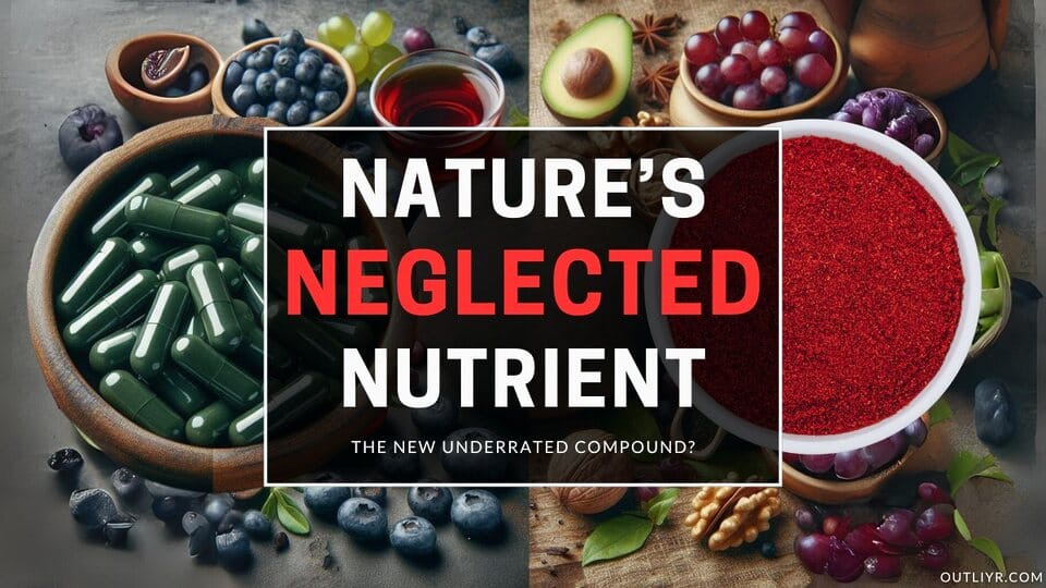 Super Fuel For Health: The Ultimate Guide to Polyphenols