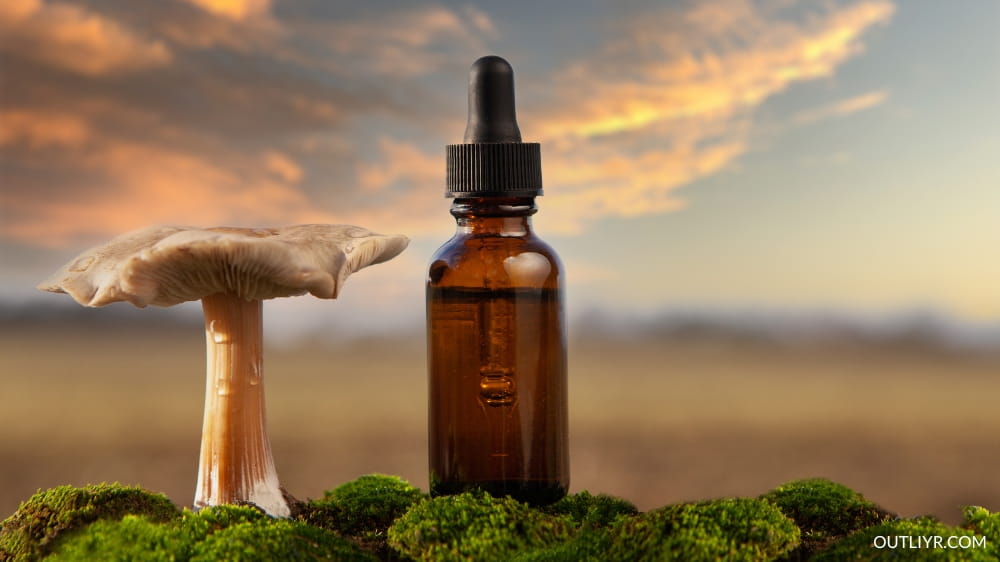 Psilocybin-Micro-Dose Psilocybin is found in psychedelic mushrooms that improves mood, emotional wellness and creativity