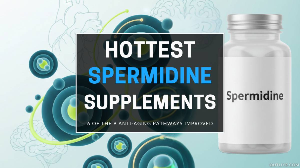 Only 7+ Best Spermidine Supplements Review 2026: Read BEFORE Buying