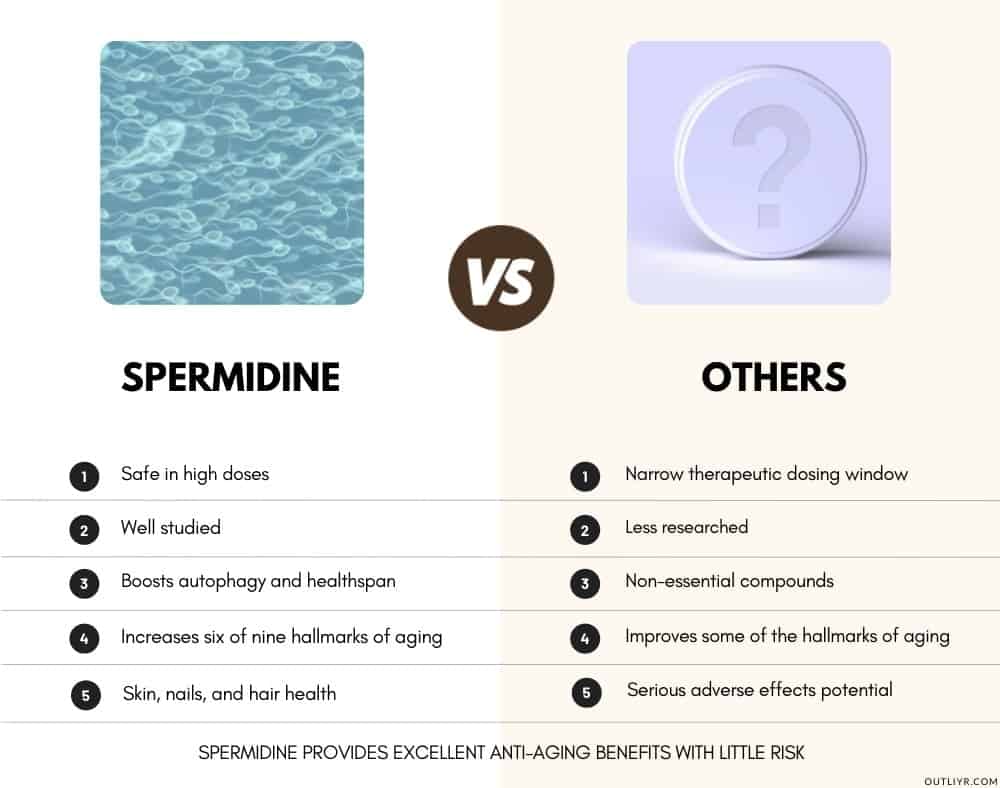 Spermidine Vs NMN Fisetin Rapamycin product image