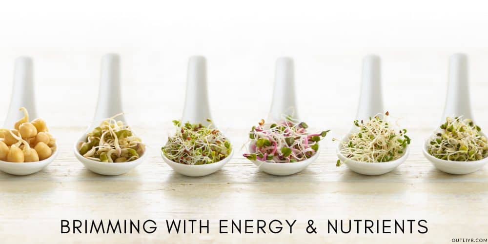 Sprouts Benefits Uses Why Healthy