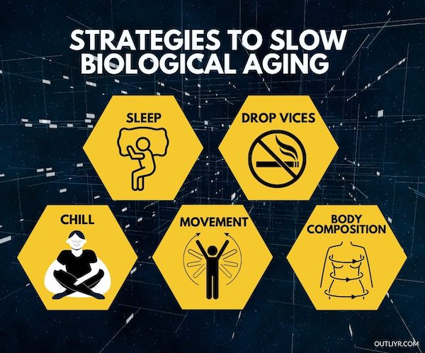 Strategies-Slow-Biological-Aging Strategies to Slow Biological Aging