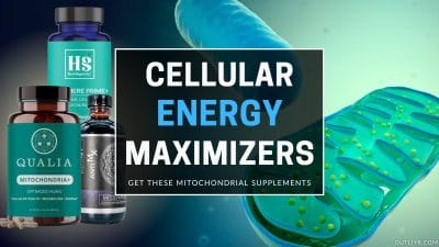The Best Mitochondrial Support Supplements to Boost Energy, ATP, & Cellular Health