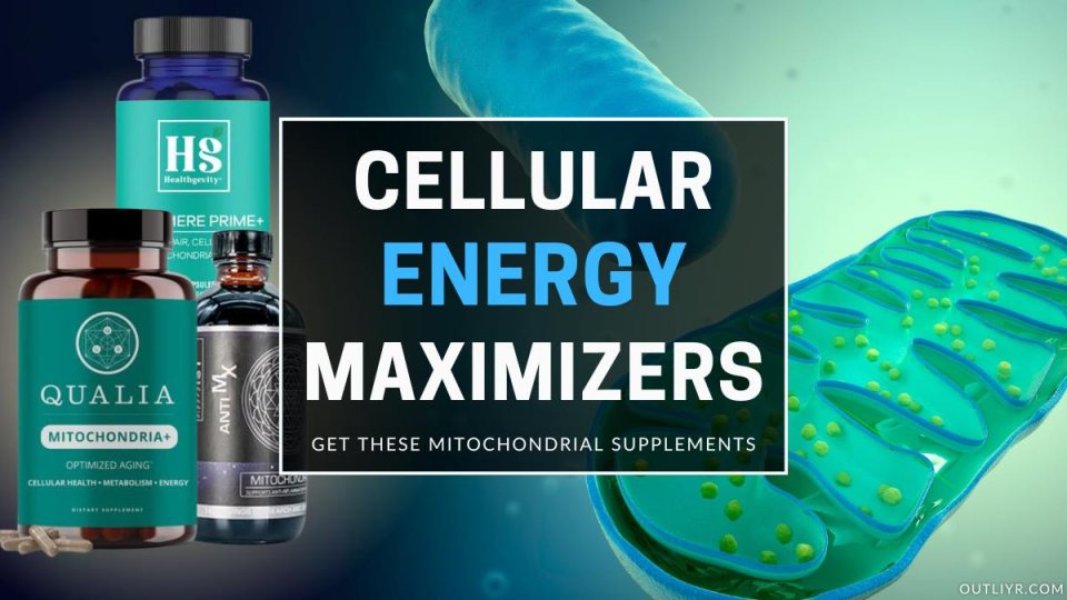 The Best Mitochondrial Support Supplements to Boost Energy, ATP, & Cellular Health