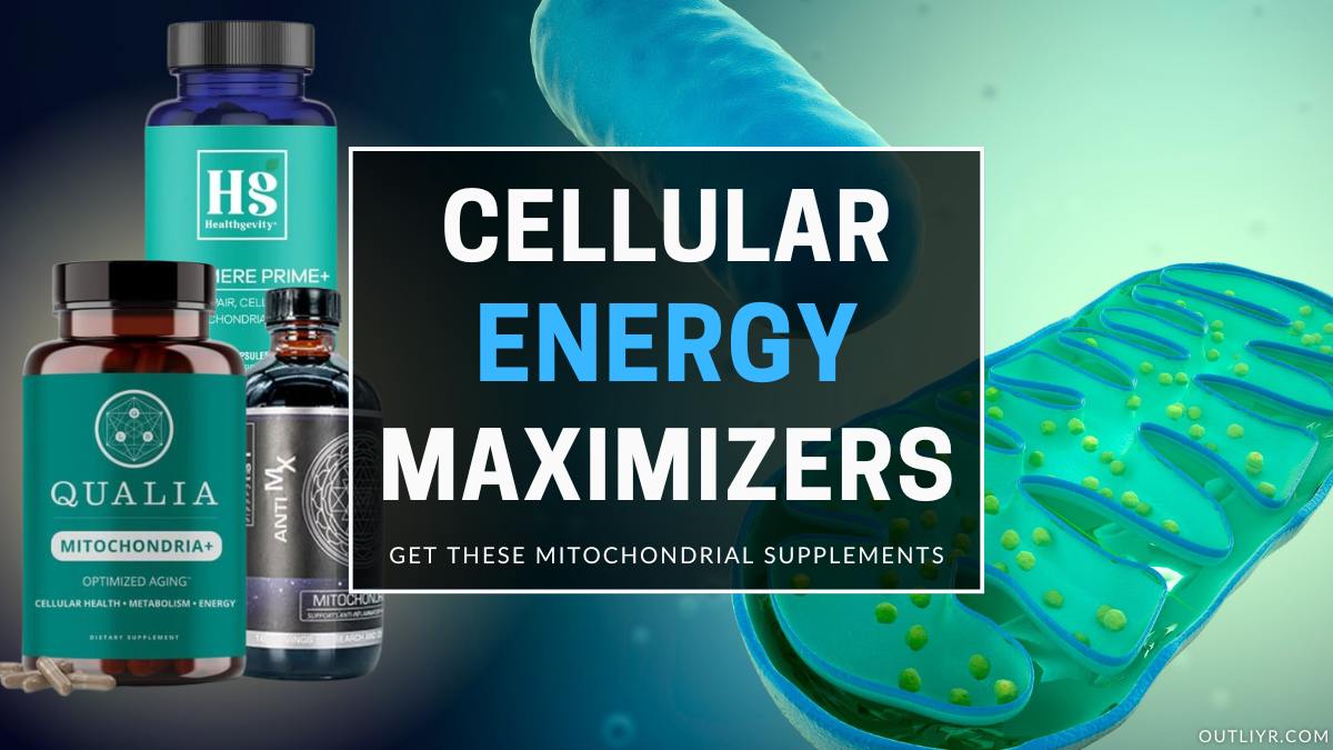 The Best Mitochondrial Support Supplements to Boost Energy, ATP, & Cellular Health