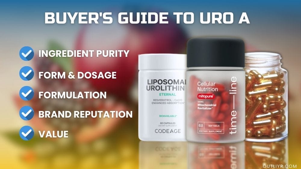 Urolithin A BuyersGuide Infographic2 product image