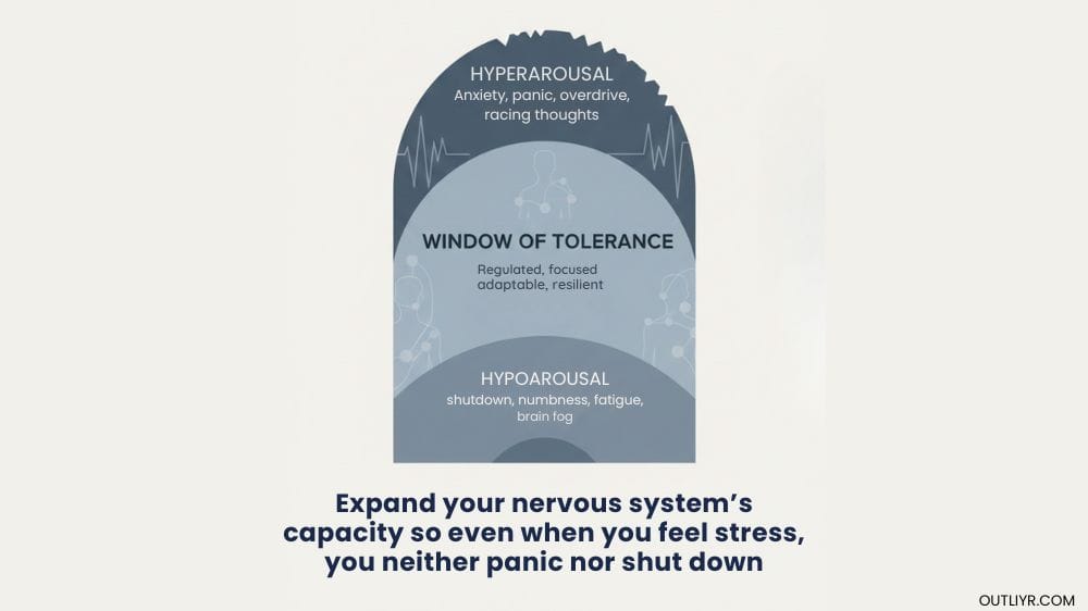 Graphic on the window of tolerance