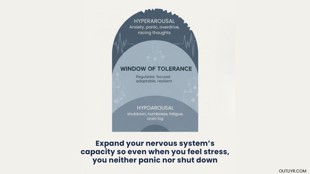 Window-Of-Tolerance Graphic on the window of tolerance