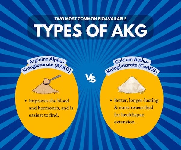 Best forms of alpha-ketoglutarate supplements