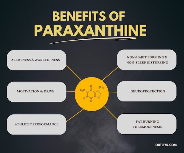 benefits-of -paraxanthine Benefits of Paraxanthine