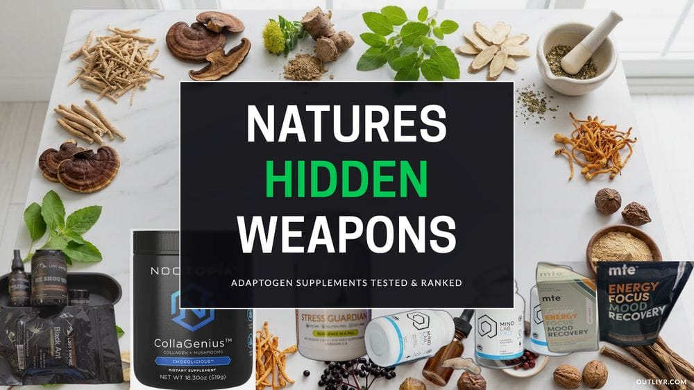 Best adaptogen supplements and blends for stress resilience