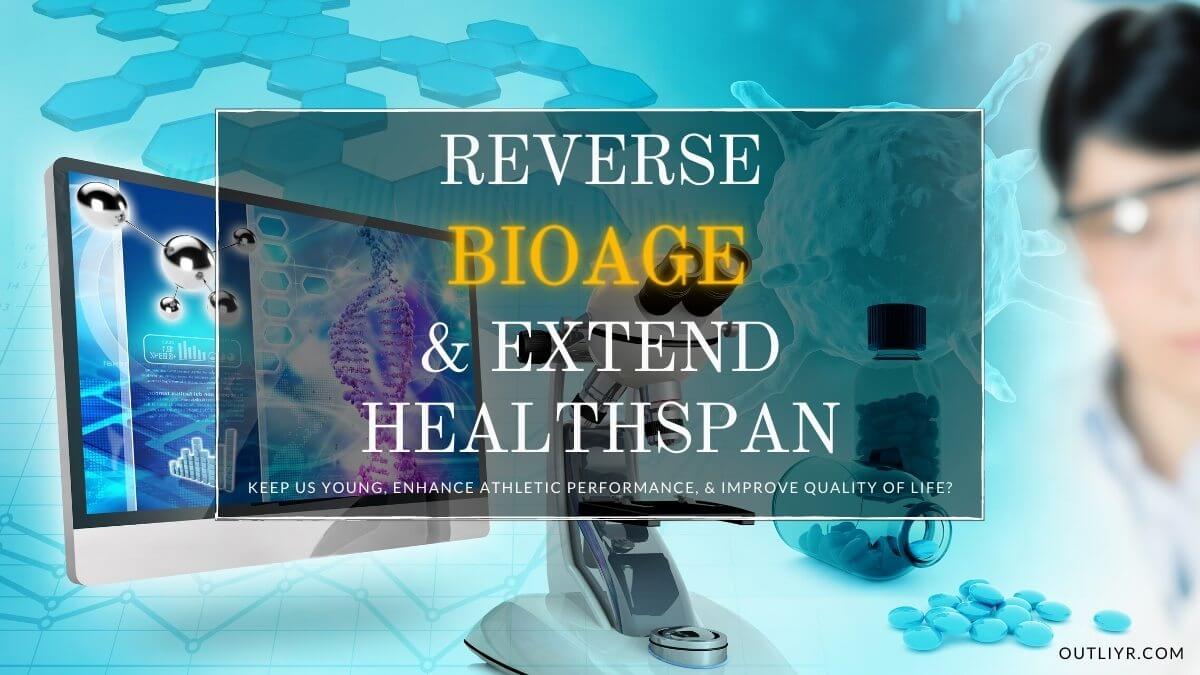 4 Best AKG Supplements: Benefits, Dosage, & Review of Alpha-Ketoglutarate