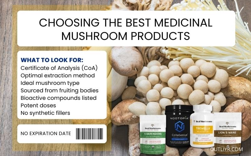 best-medicinal-mushroom-supplements