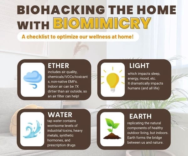 Biohack House Biomimicry Cheat Sheet