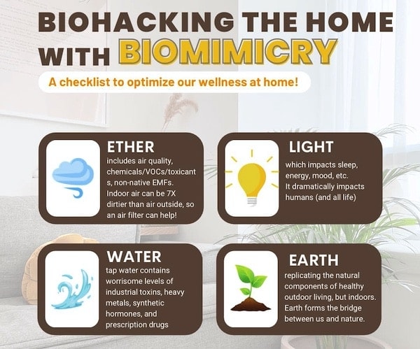 Biohack House Biomimicry Cheat Sheet