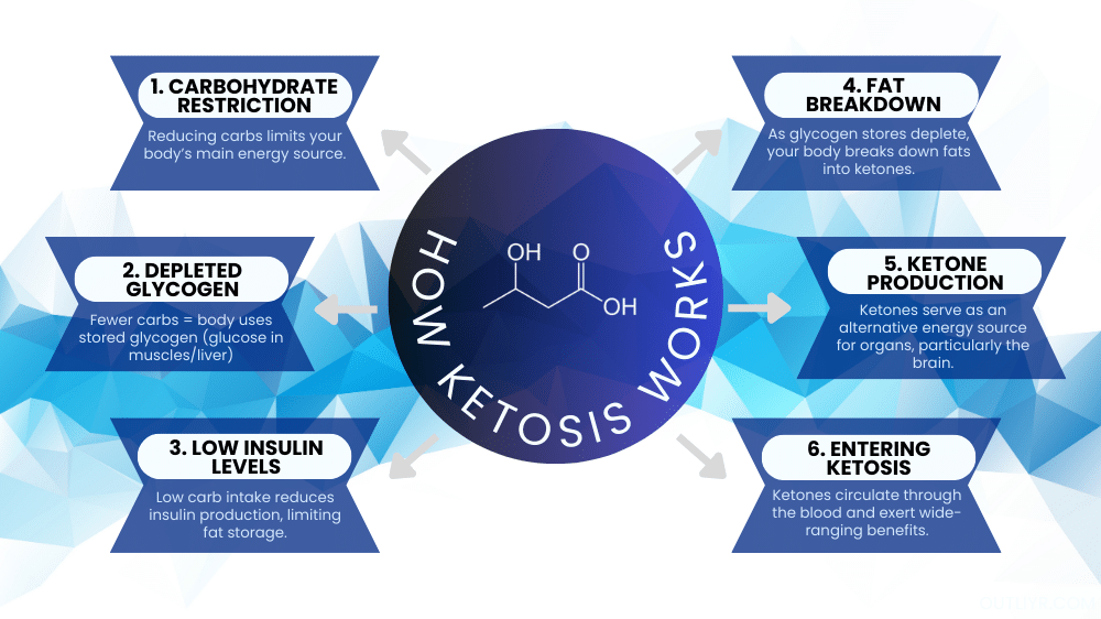 biohacks-enter-ketosis-fast-after-cheat-meal-2 The Process of How Ketosis Works
