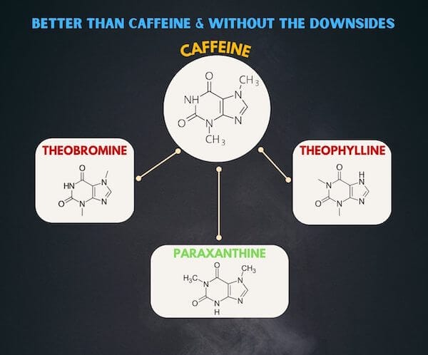 Caffeine Metabolism